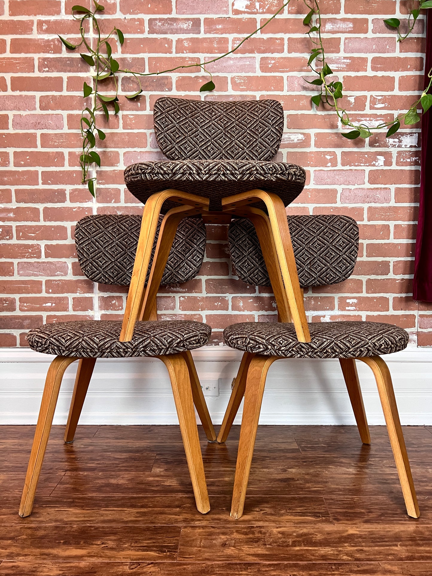The Starlight Lounge Chairs