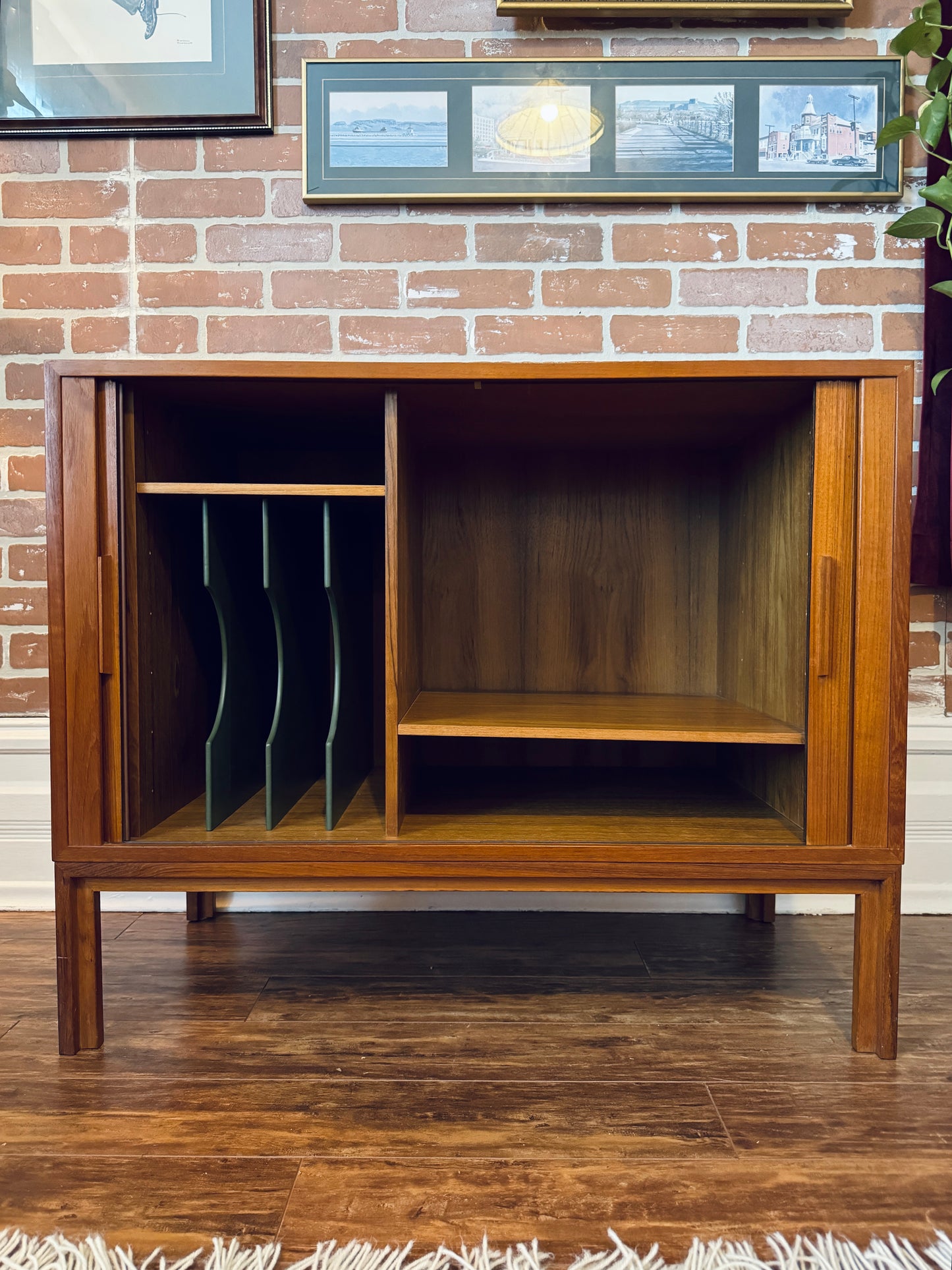 Danish Teak Record Cabinet