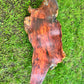 Vintage Live Edge Solid Wood Coffee Table