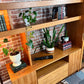The Teak Beast Wall Unit