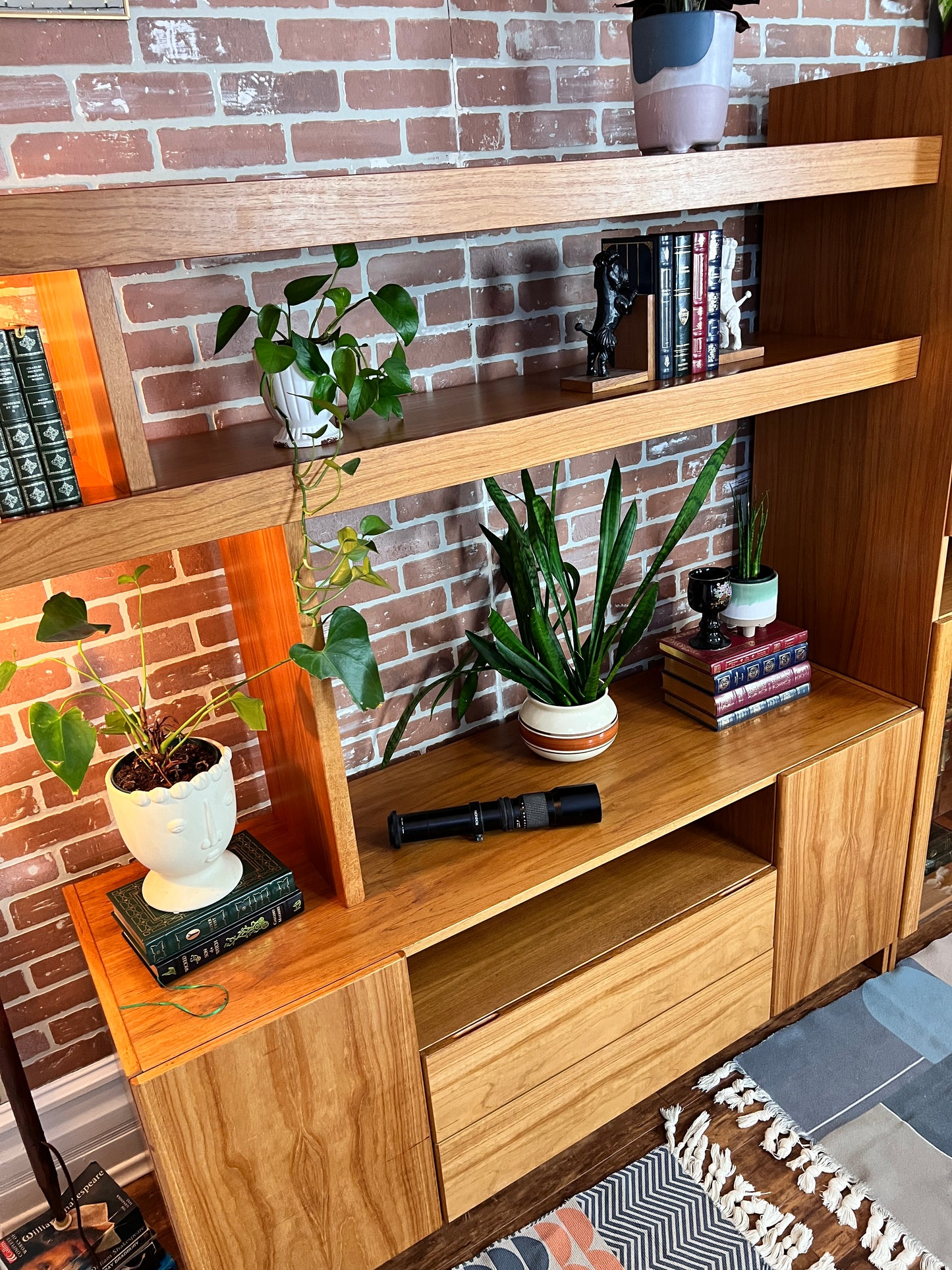 The Teak Beast Wall Unit