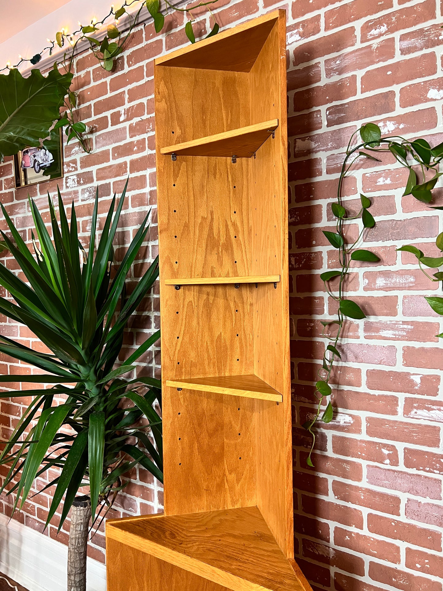The Mosby Corner Shelfi