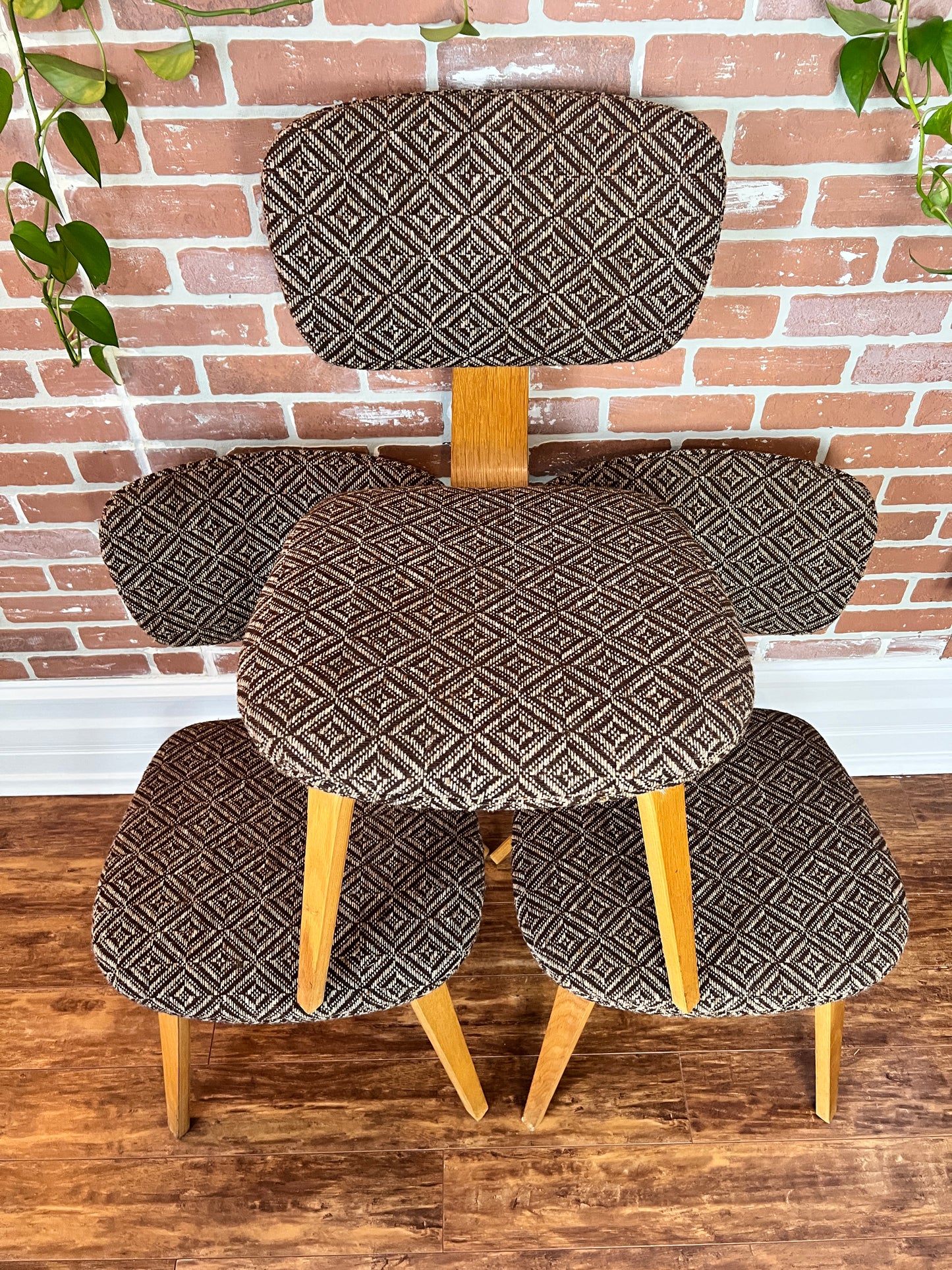 The Starlight Lounge Chairs