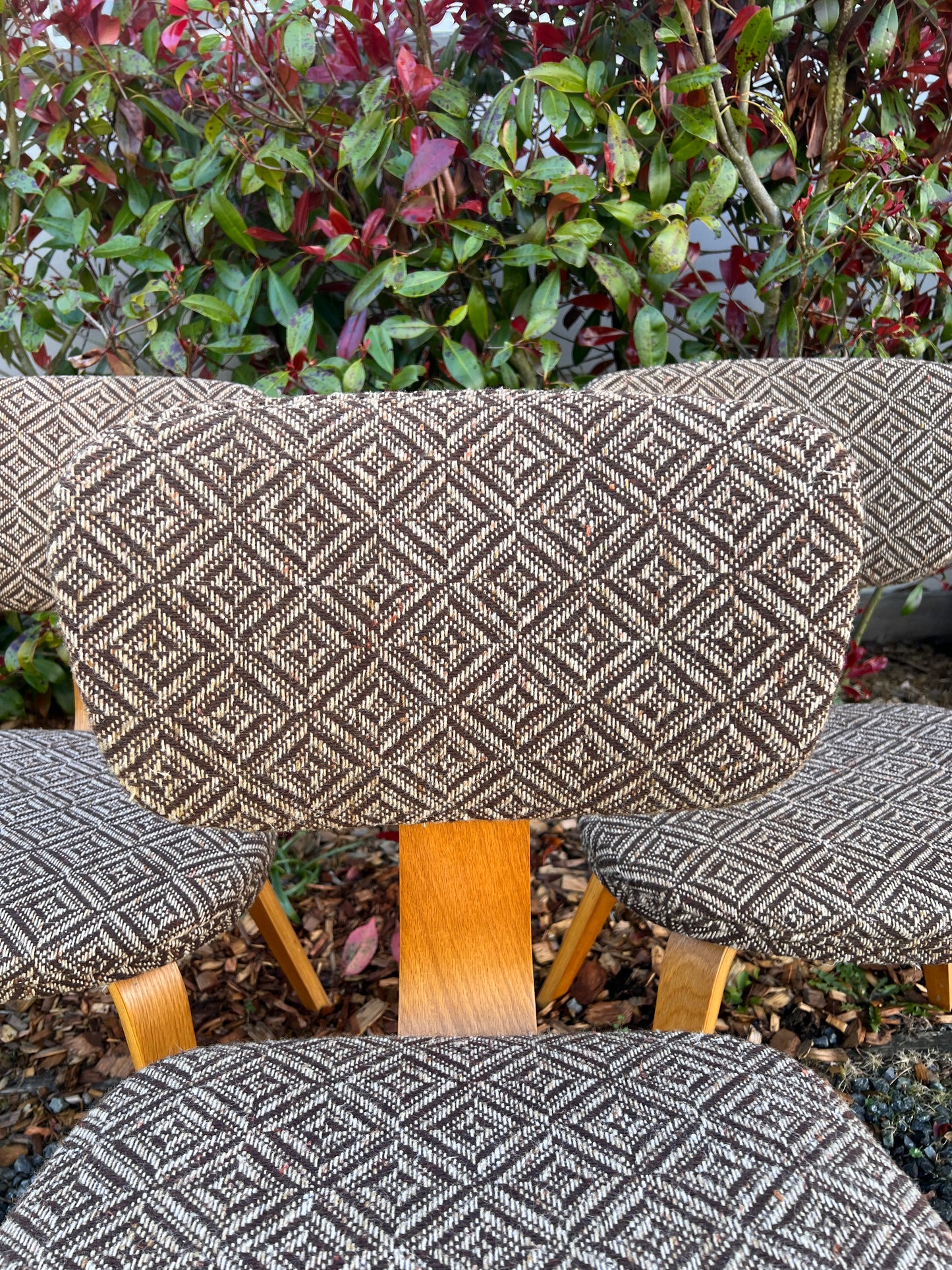 The Jacquard Bentwood Chairs