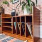 The Regna Teak Record Cabinet