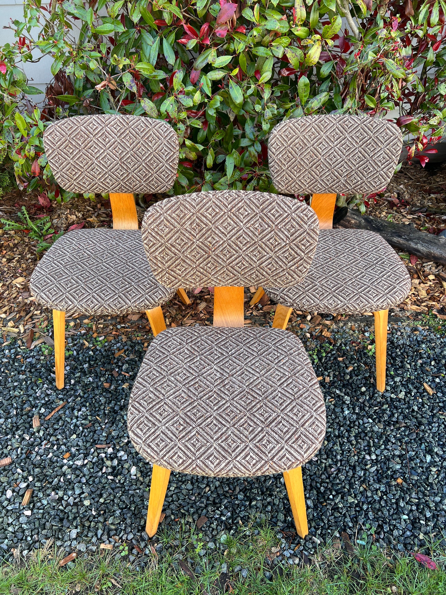 The Jacquard Bentwood Chairs