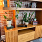 The Teak Beast Wall Unit