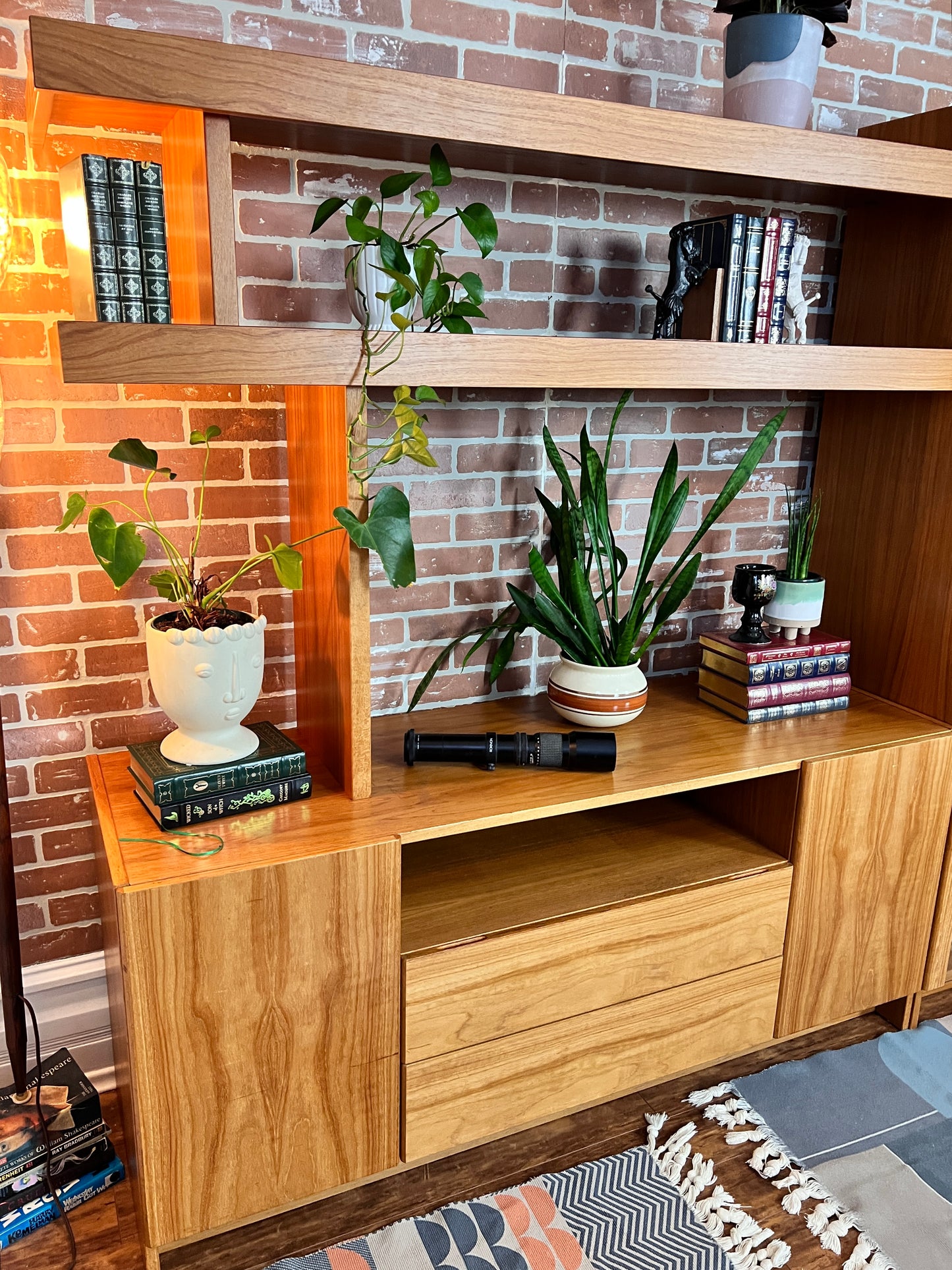 The Teak Beast Wall Unit