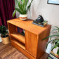 Vintage Teak Stereo Cabinet