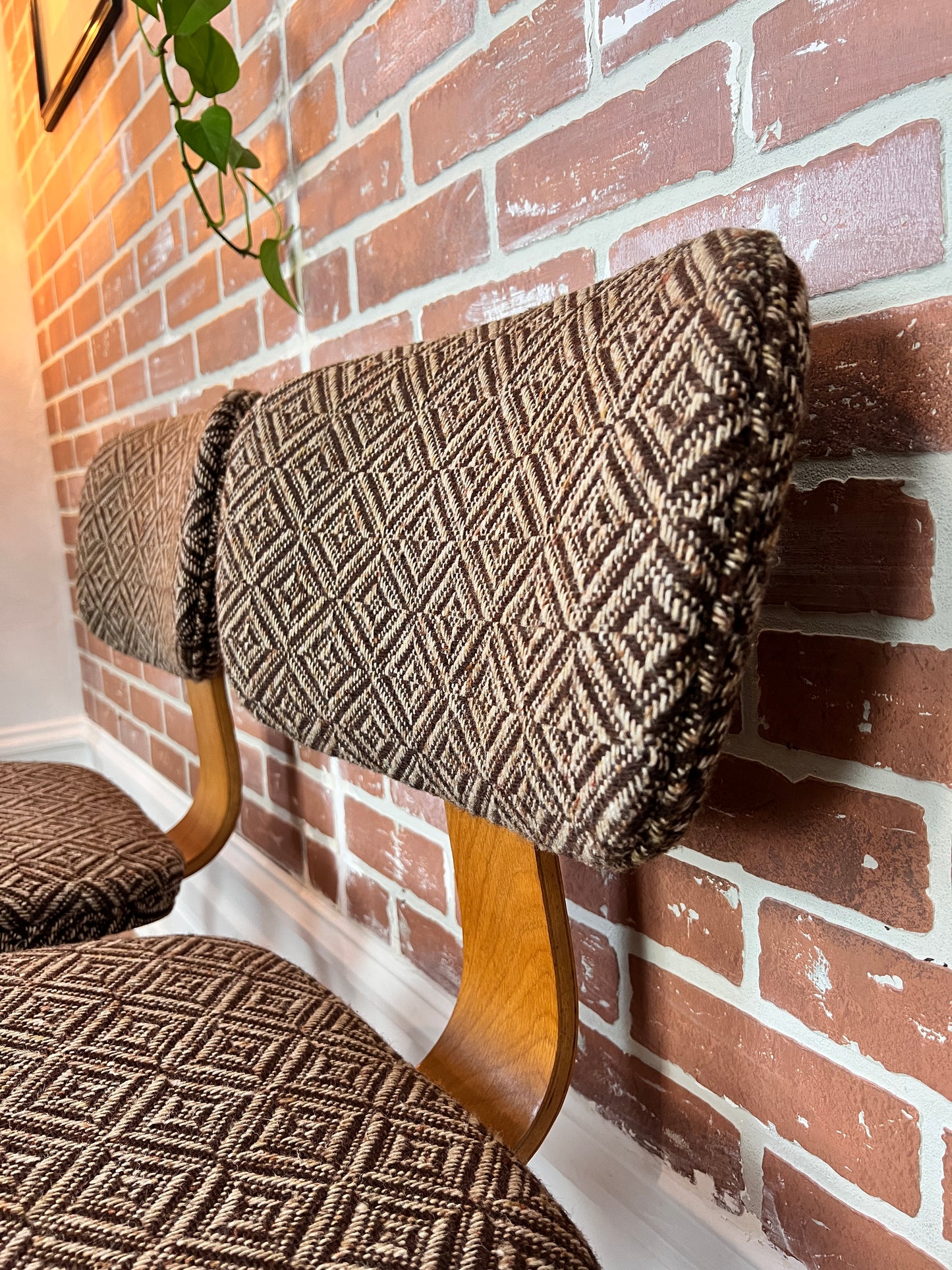 The Starlight Lounge Chairs