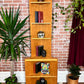 The Mosby Corner Shelfi