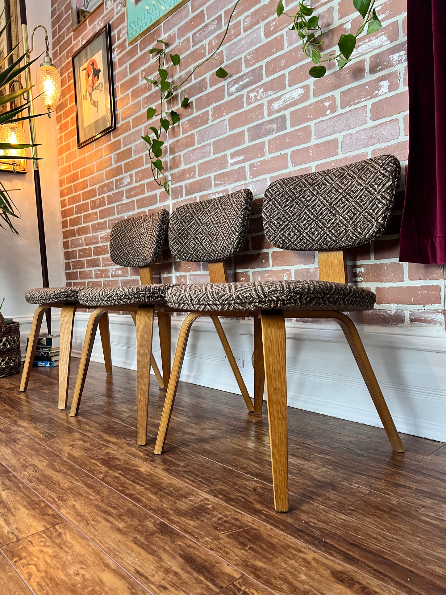 The Starlight Lounge Chairs