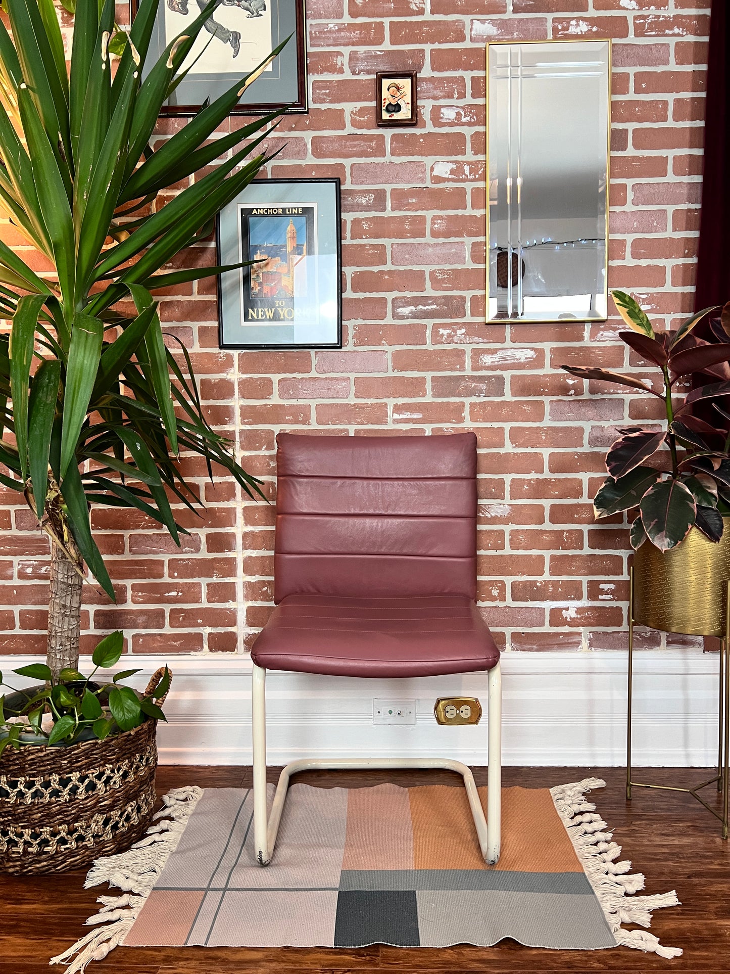 The Viola Cantilever Chairs