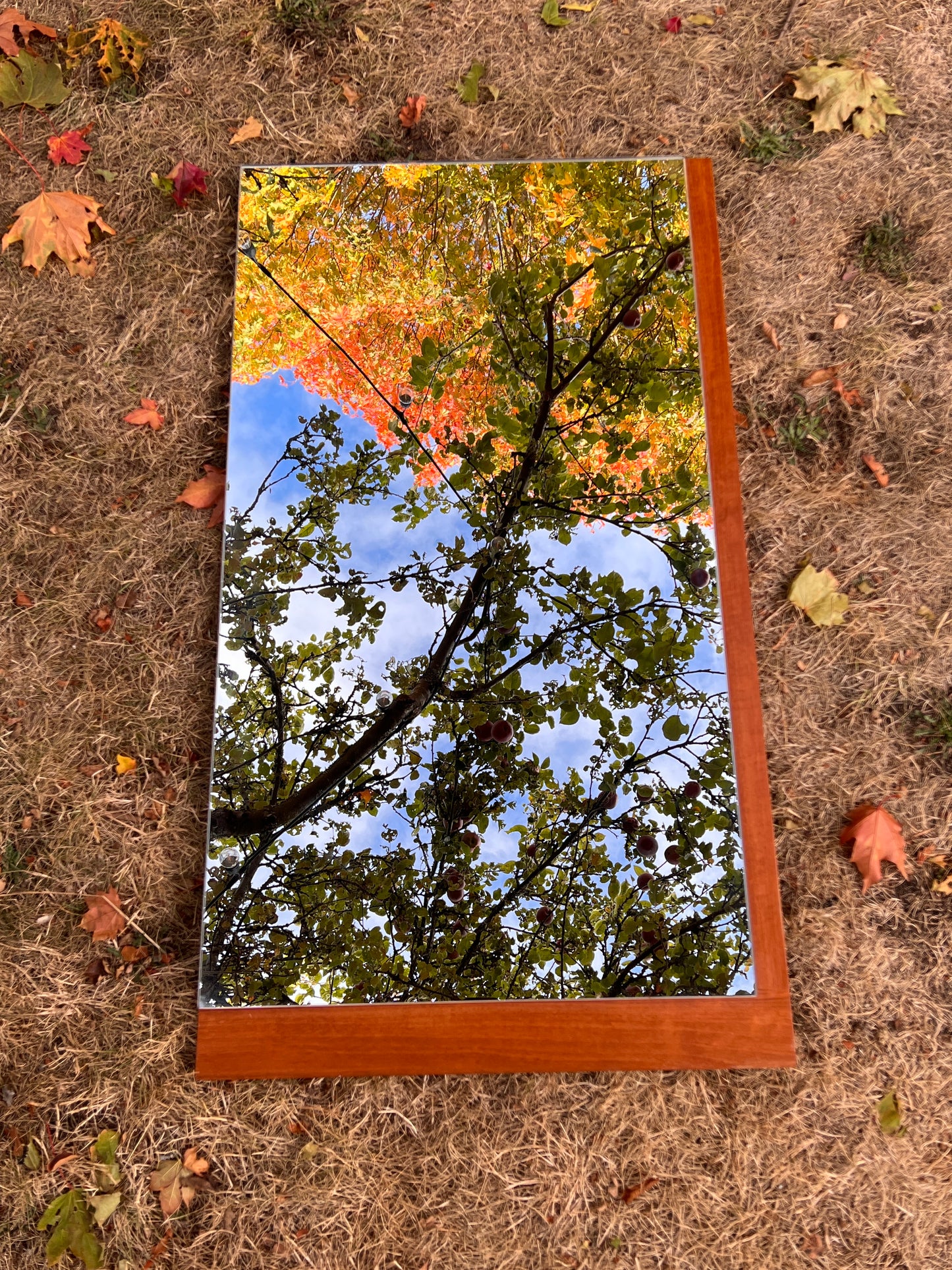 The Anna Teak Mirror