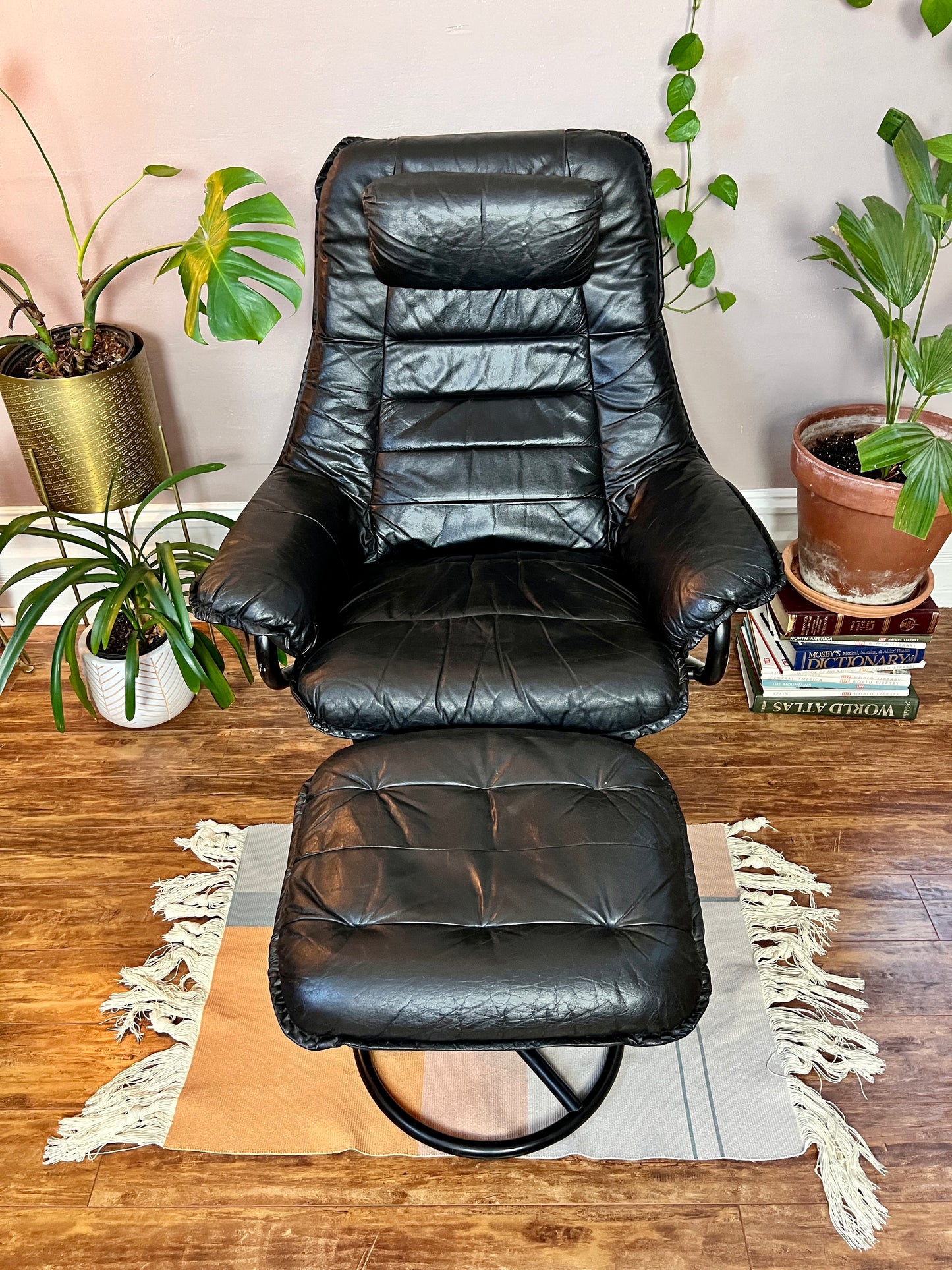 The Black Stallion Recliner & Ottoman