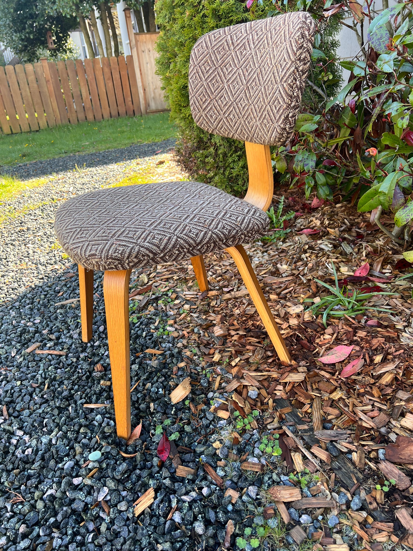 The Jacquard Bentwood Chairs