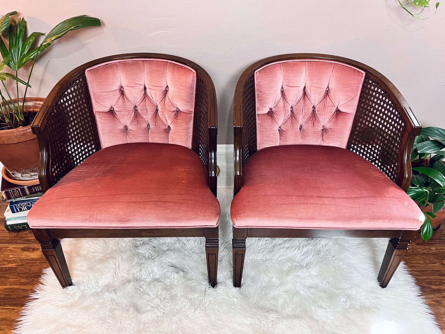 The Dusty Rose Chairs