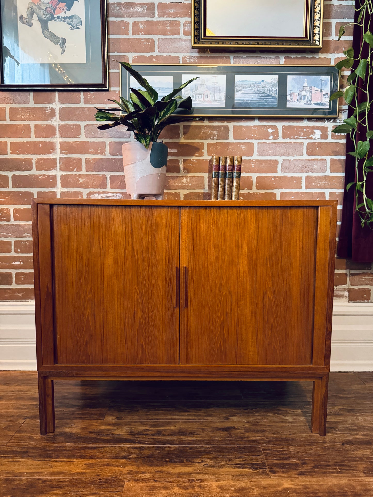 Danish Teak Record Cabinet