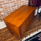 Danish Teak Record Cabinet