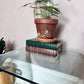The Marcelo Glass Side Table