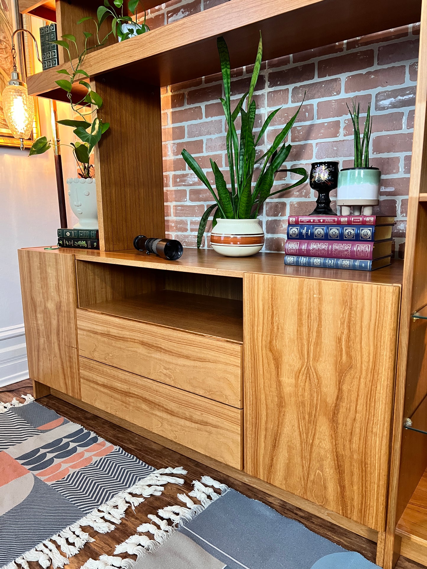 The Teak Beast Wall Unit