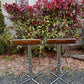 The Bentwood & Chrome Stools