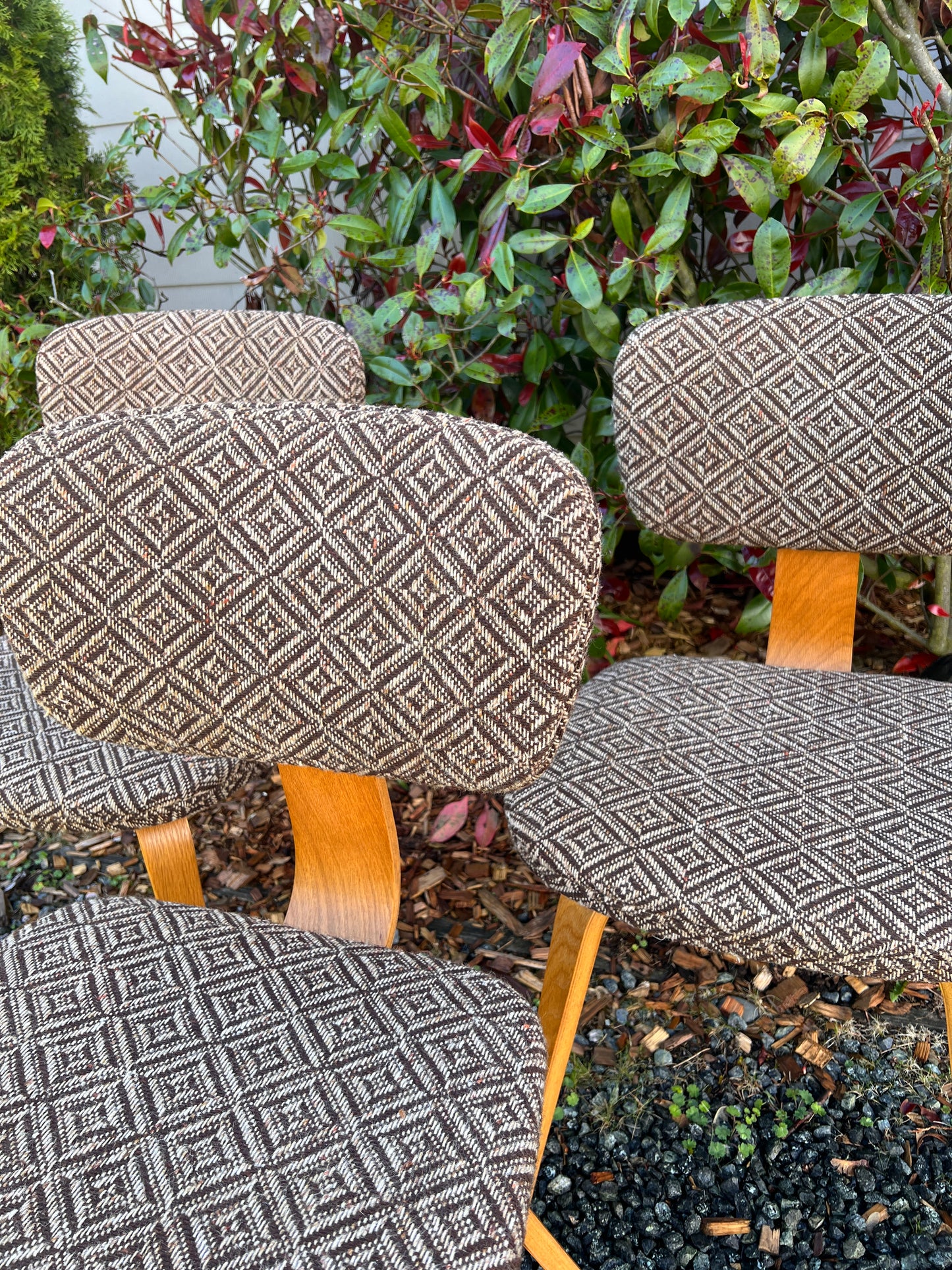 The Jacquard Bentwood Chairs