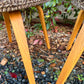 The Jacquard Bentwood Chairs