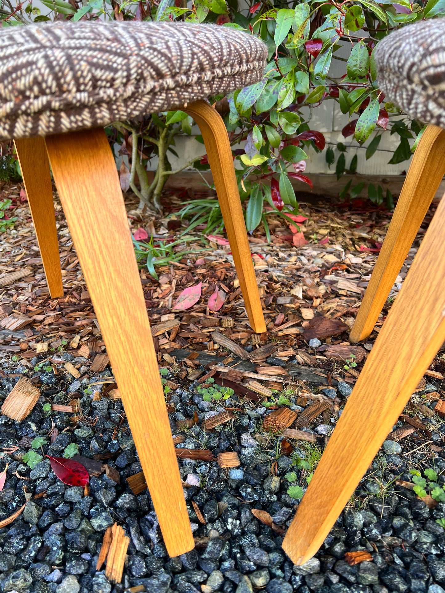 The Jacquard Bentwood Chairs