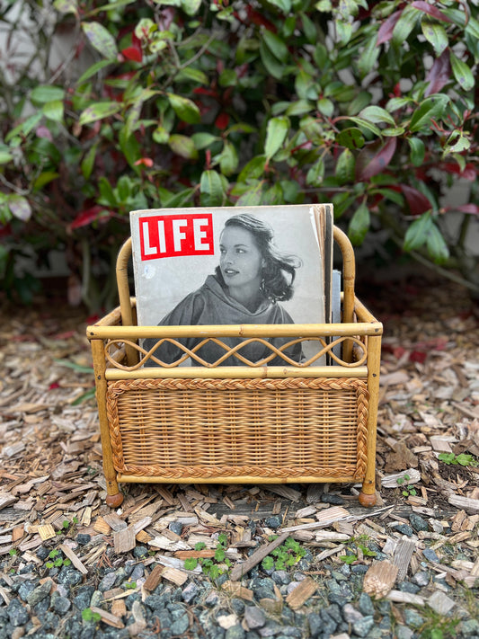 Funky Wicker Magazine/Vinyl Basket
