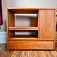 Vintage Teak Stereo Cabinet