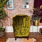 The Barberry Armchair