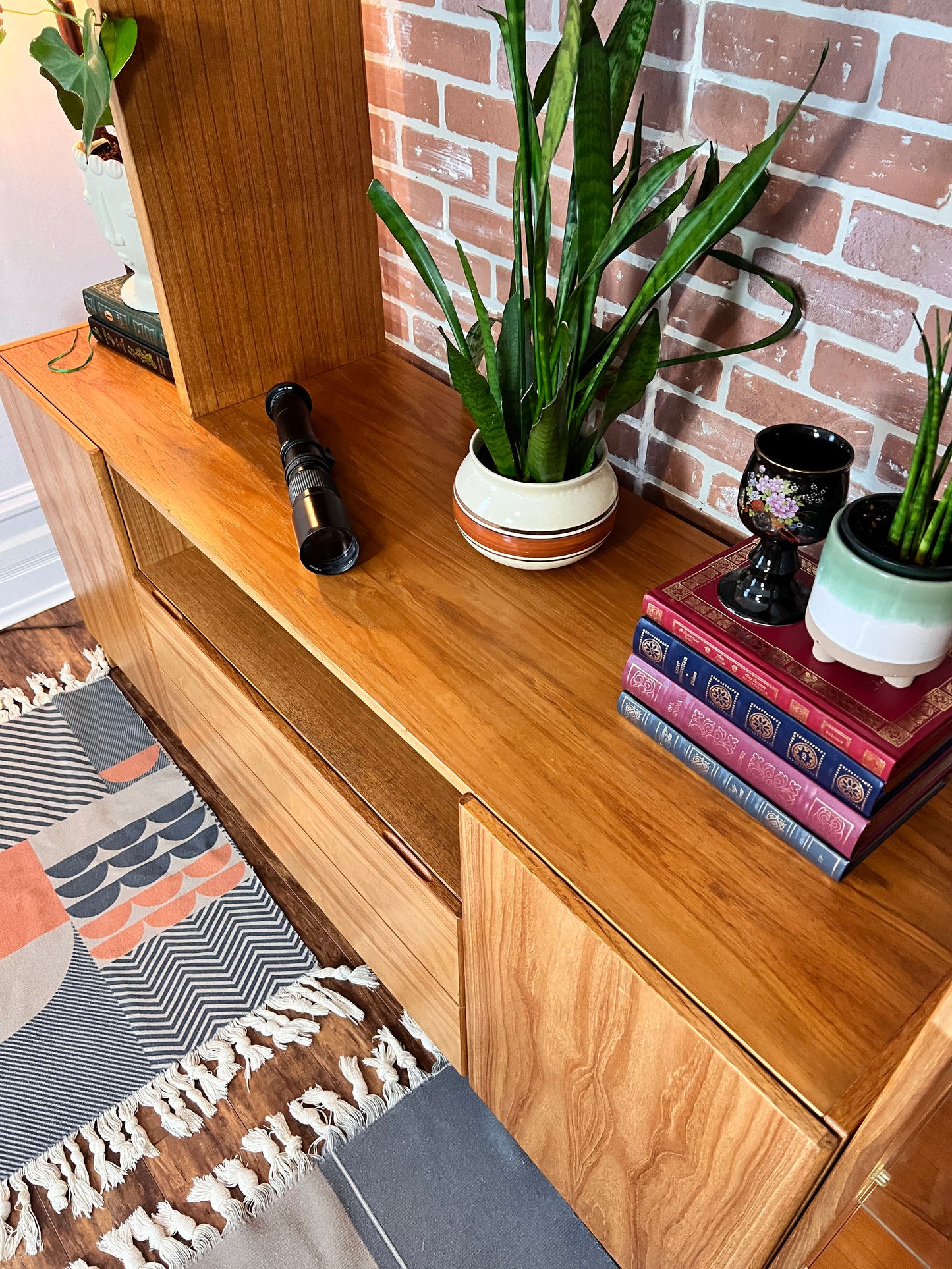 The Teak Beast Wall Unit