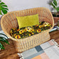The Dejan Woven Loveseat