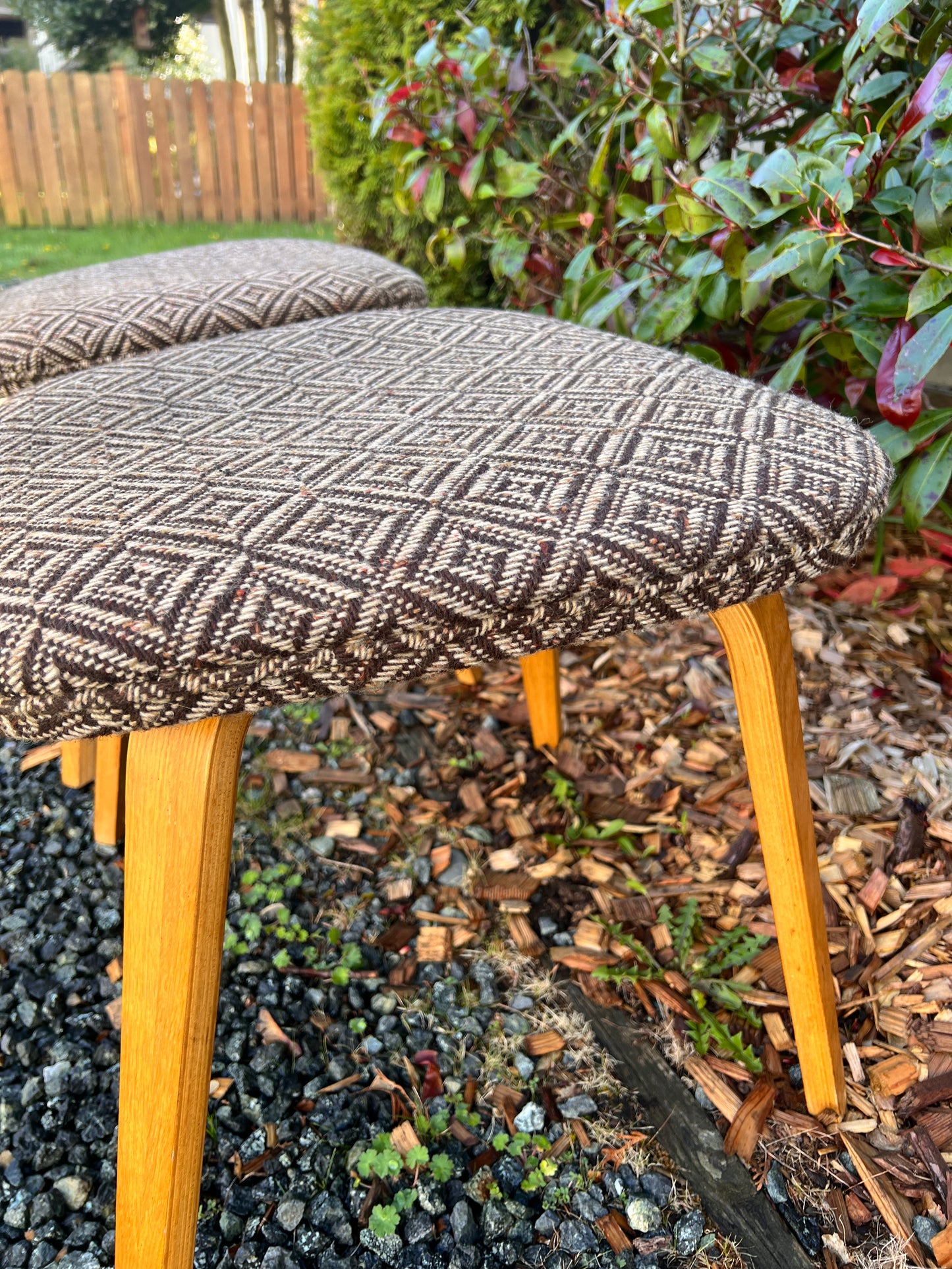 The Jacquard Bentwood Chairs