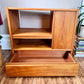Vintage Teak Stereo Cabinet