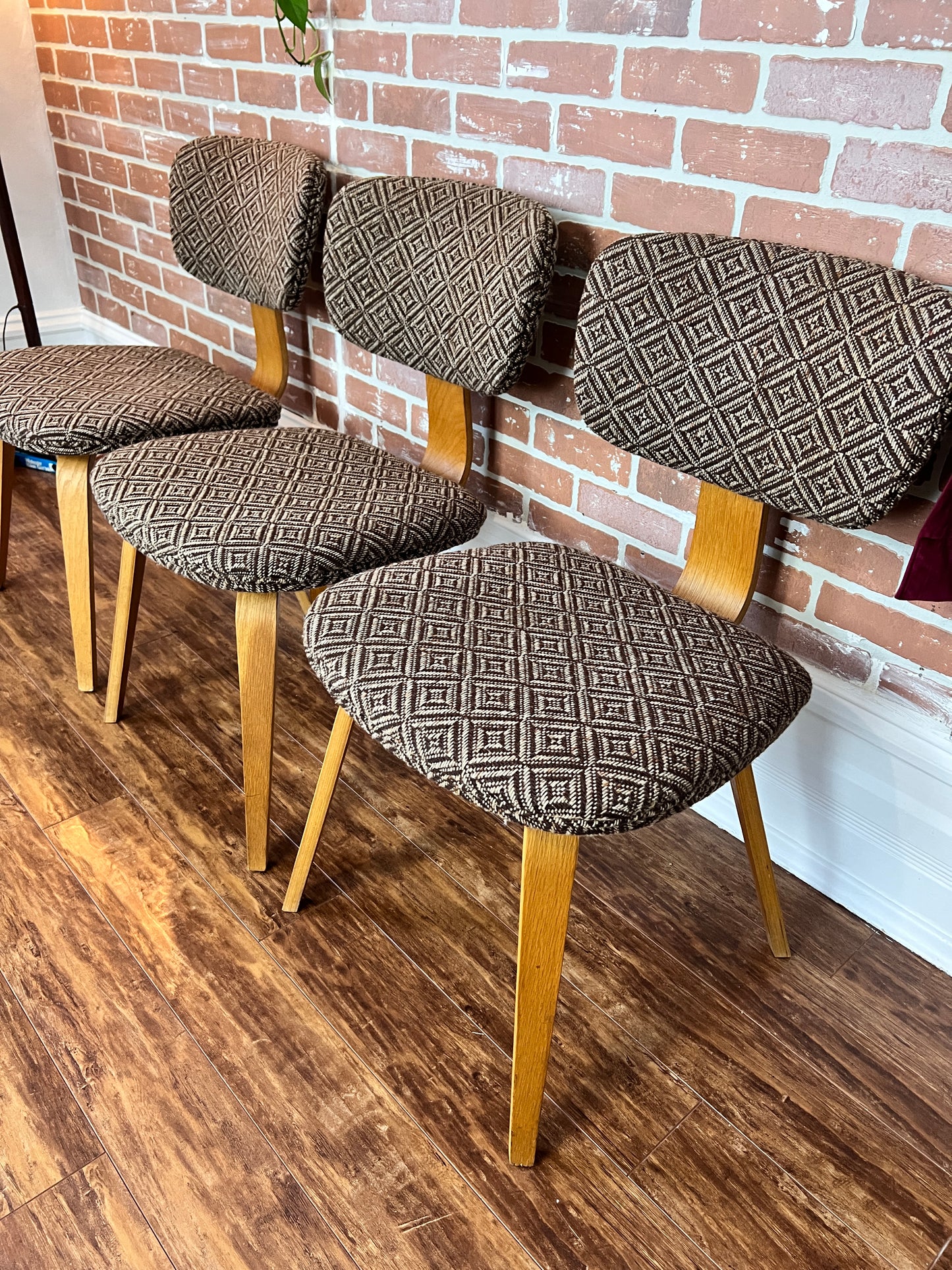 The Starlight Lounge Chairs