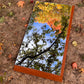 The Anna Teak Mirror