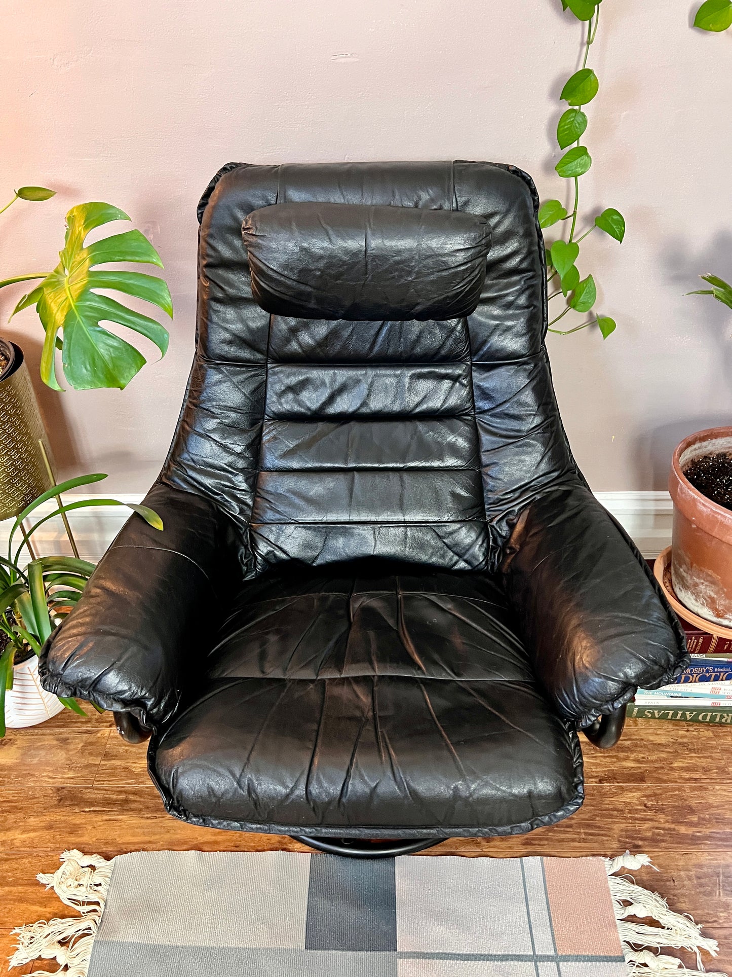 The Black Stallion Recliner & Ottoman