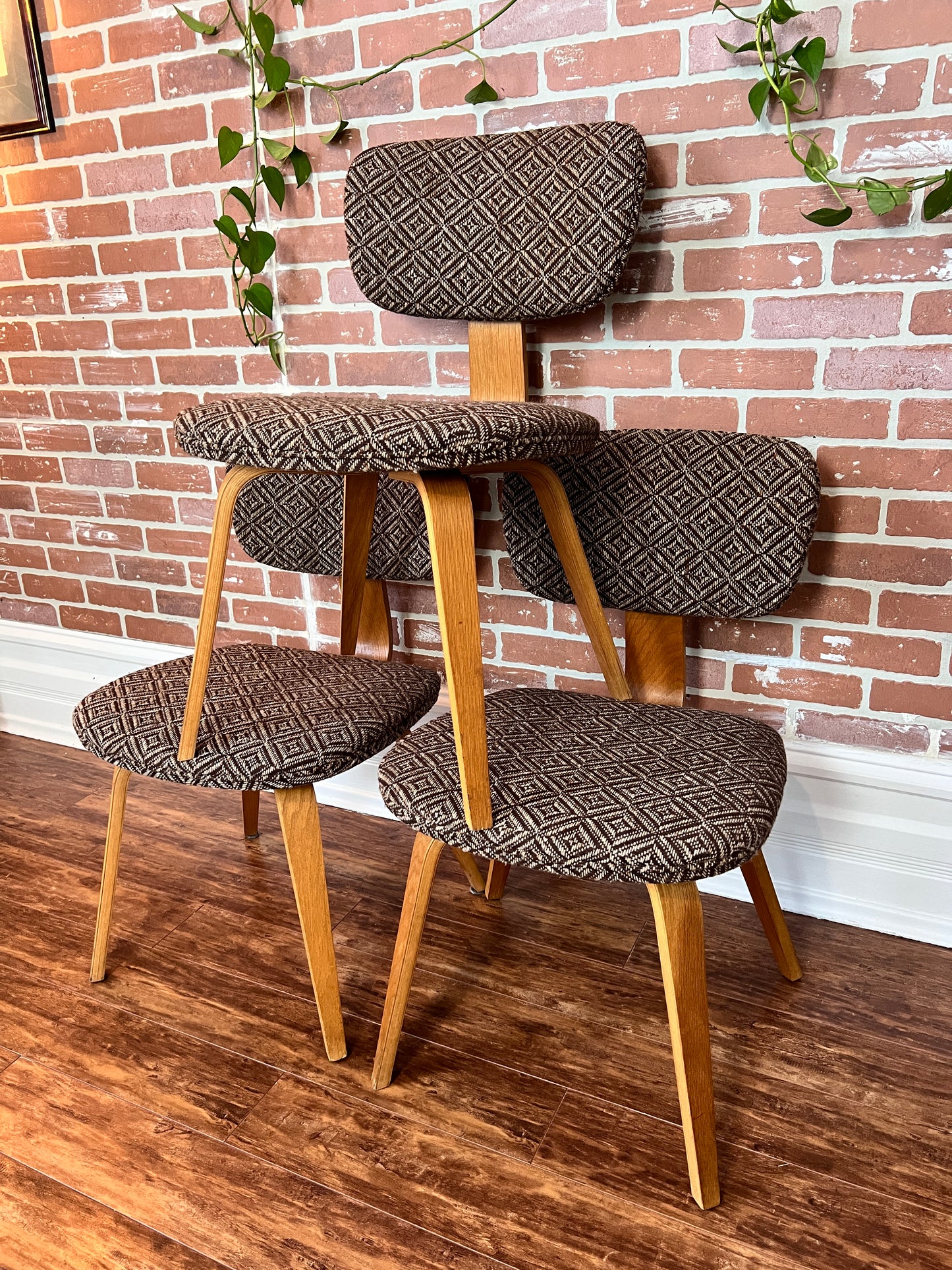 The Starlight Lounge Chairs