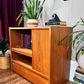 Vintage Teak Stereo Cabinet