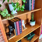 The Emil Danish Teak Bookcase