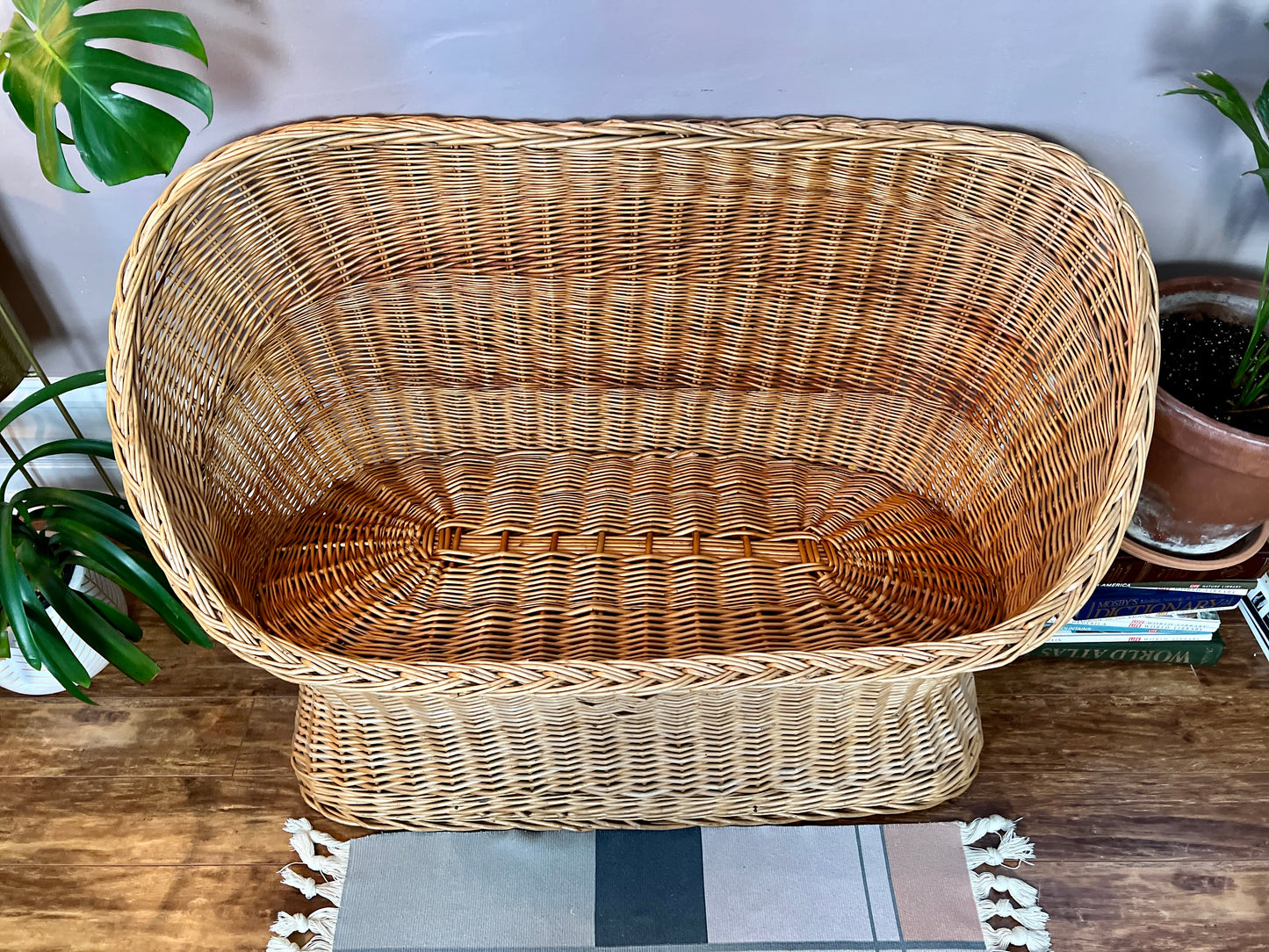 The Dejan Woven Loveseat