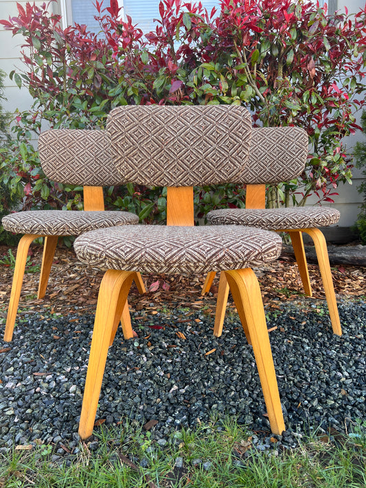 The Jacquard Bentwood Chairs