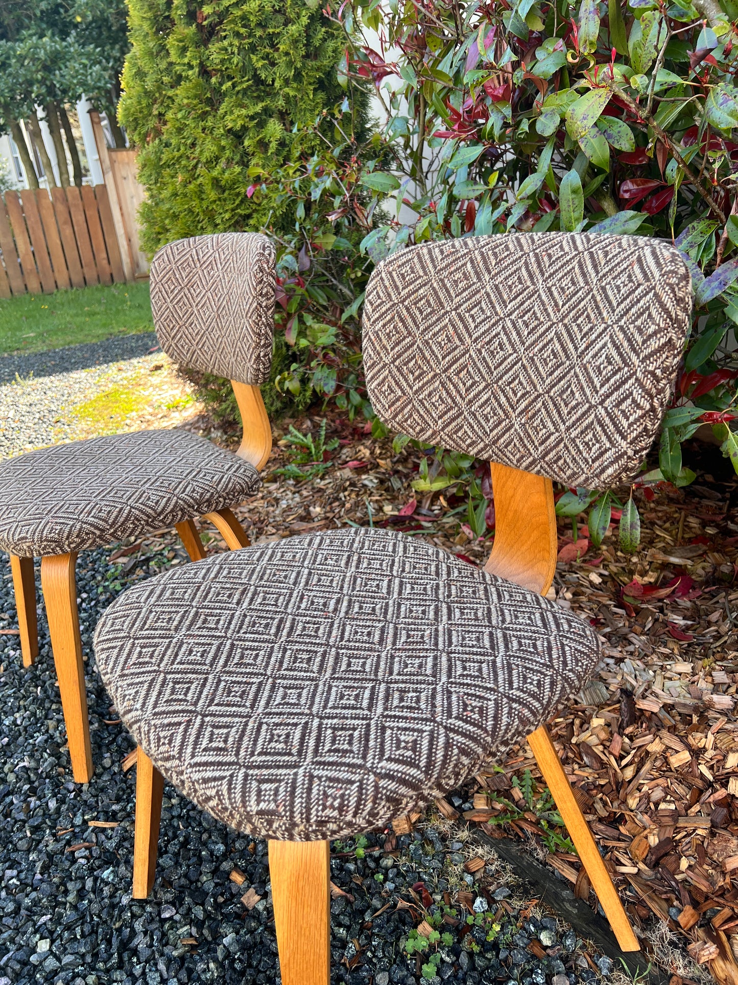 The Jacquard Bentwood Chairs