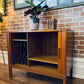 Danish Teak Record Cabinet