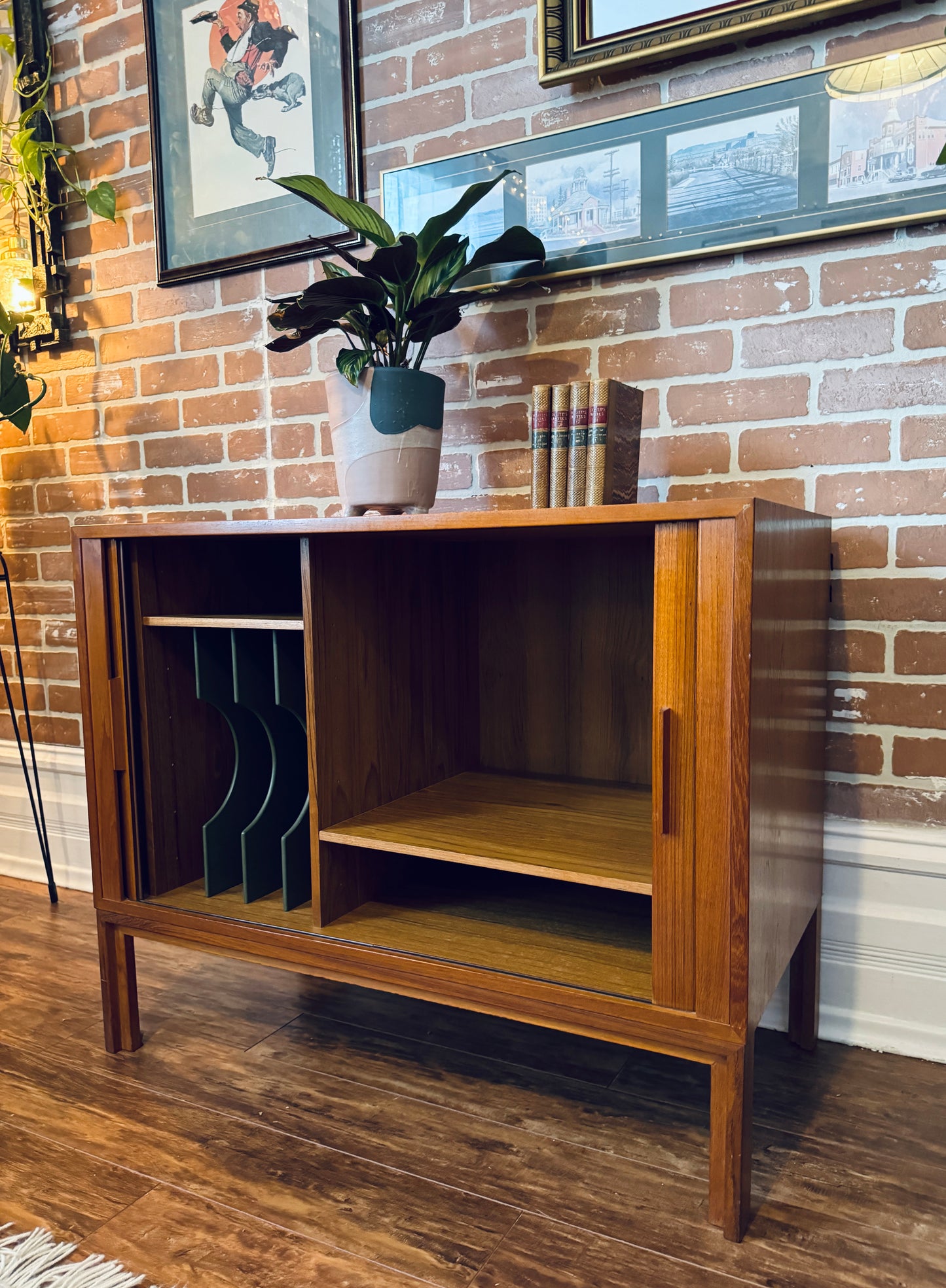 Danish Teak Record Cabinet
