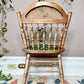 The Scotch Mint Chairs