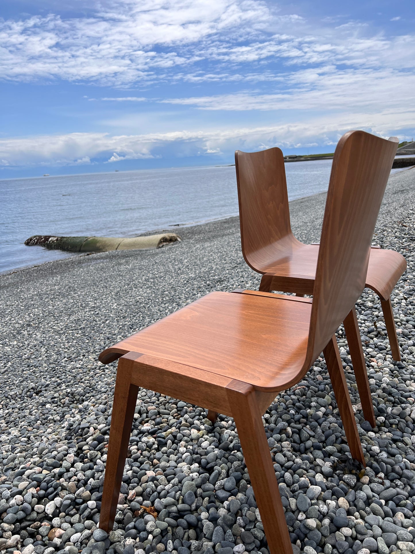 The Beechwood Chairs