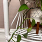 Vintage White Wicker Shelf